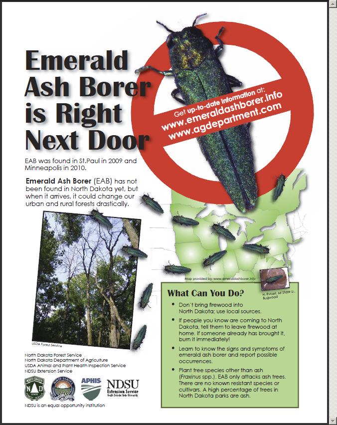 EAB is Right Next Door for ND parks and Recreation