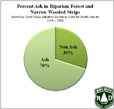 Percentage of Ash in Riparian Buffer Forests